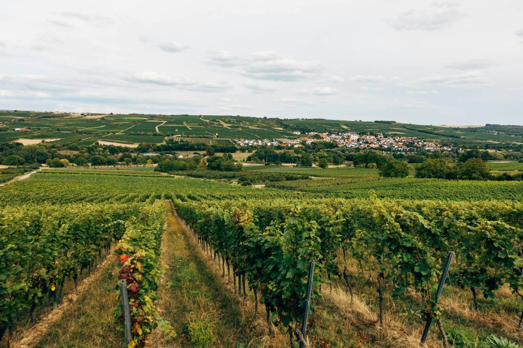 Pourquoi faire appel à une agence immobilière dans le haut-rhin pour gérer votre patrimoine